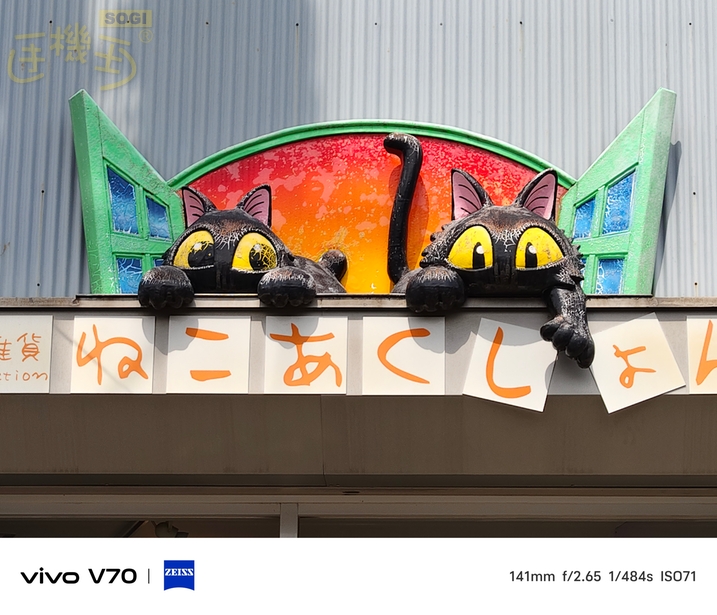 vivo V70 相機體驗 - 日拍-貓招牌