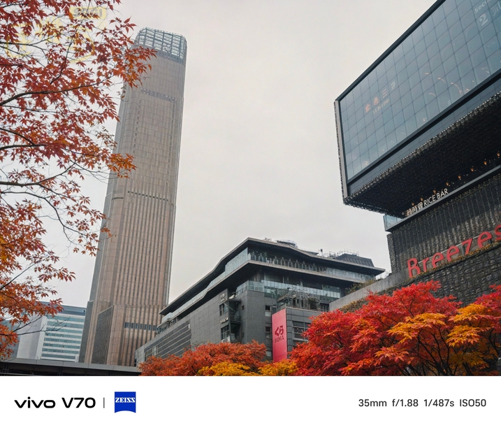 vivo V70 AI 與 OriginOS 6 體驗 - 金秋