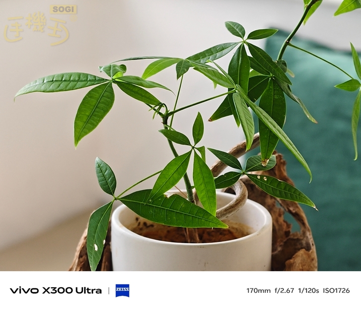 vivo X300 Ultra 實機台灣上手體驗 - 170mm