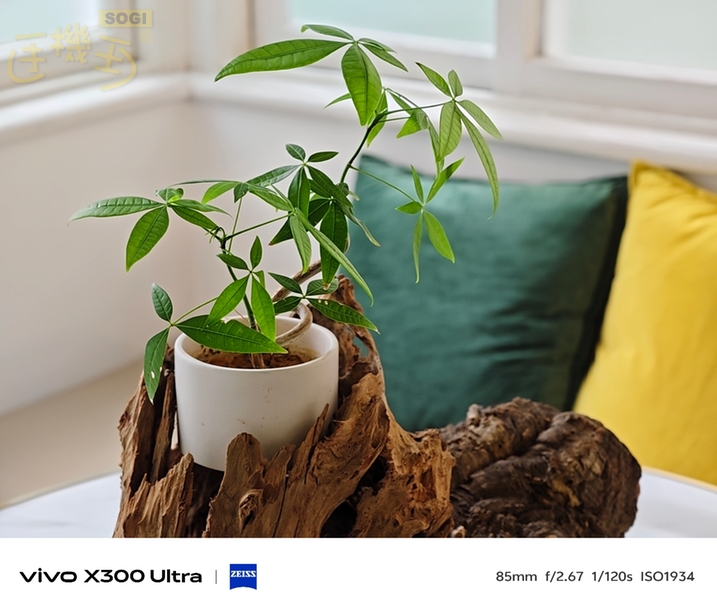 vivo X300 Ultra 實機台灣上手體驗 - 85mm