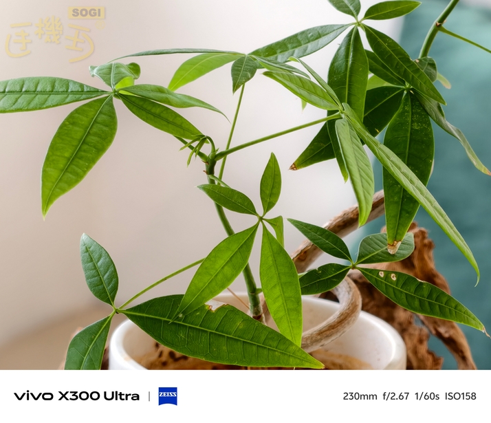 vivo X300 Ultra 實機台灣上手體驗 - 230mm