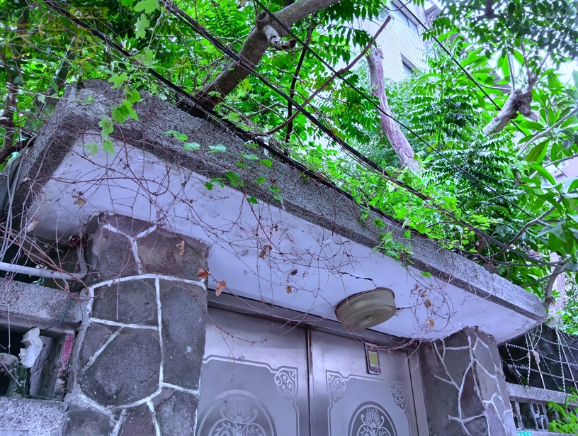 SHARP AQUOS wish5s 相機體驗 - 涼爽的夜晚