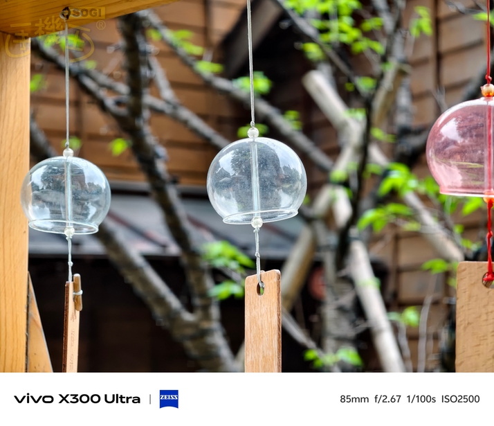 vivo X300 Ultra 相機體驗 - 風鈴