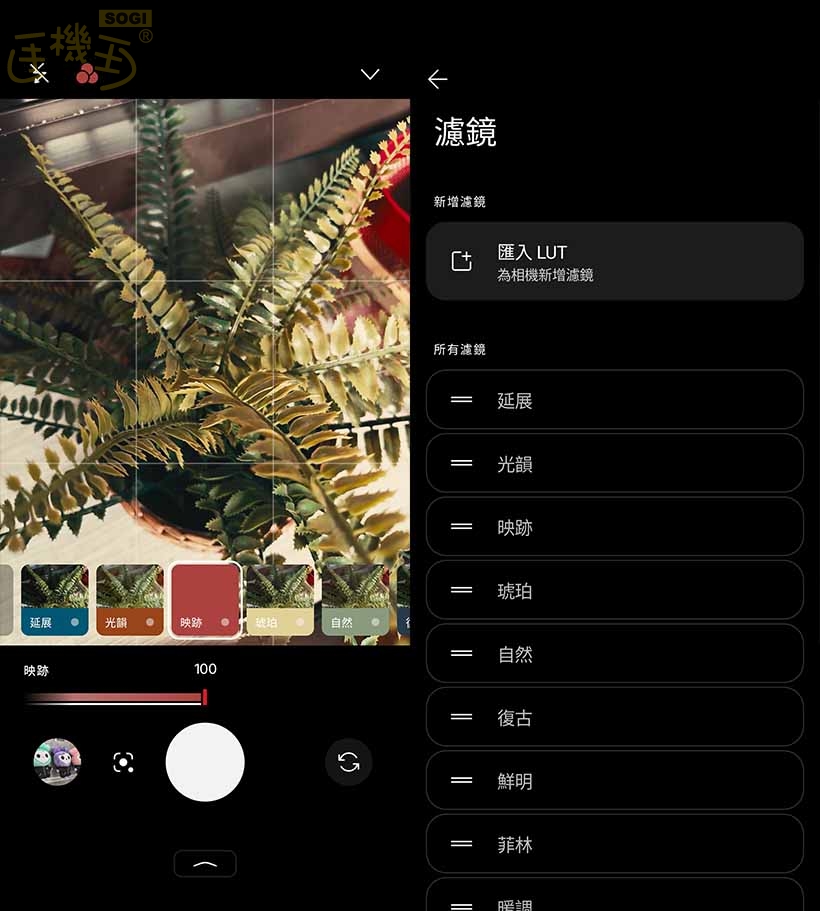 Nothing Phone (4a) 系列相機體驗 - 濾鏡