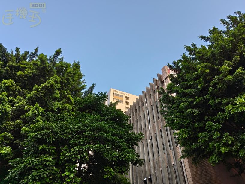 Nothing Phone (4a) 系列相機體驗 - (4a) 1X