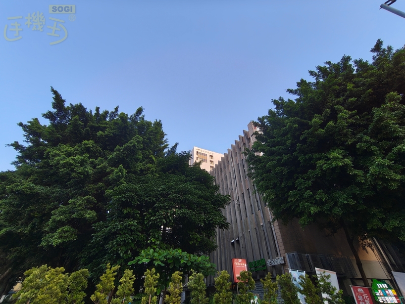 Nothing Phone (4a) 系列相機體驗 - (4a) Pro 0.6X
