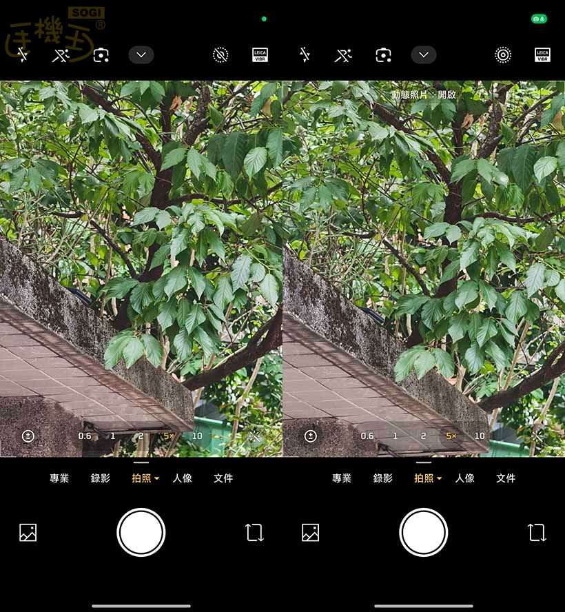 Xiaomi 17T Pro 相機體驗 - Leica Live Moment