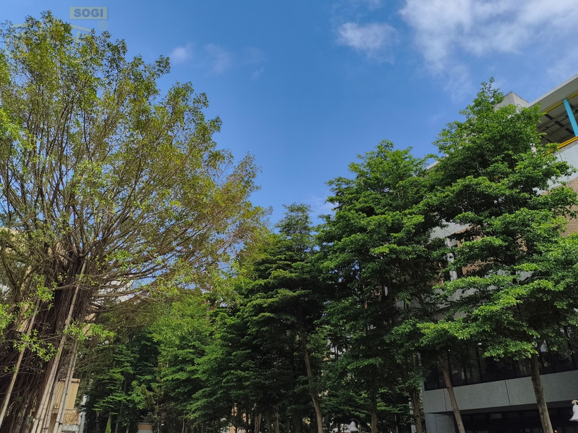 POCO X8 Pro 系列相機體驗 - X8 Pro Max