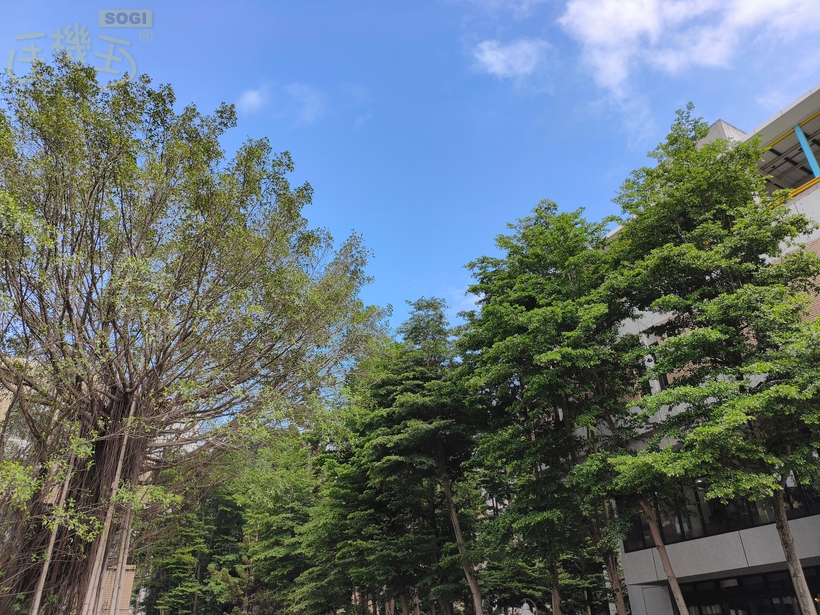 POCO X8 Pro 系列相機體驗 - X8 Pro