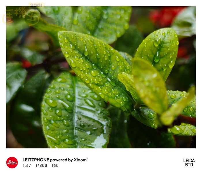 Leica Leitzphone 相機體驗 - 日-6