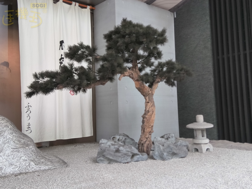 相機實測 - 實拍-1