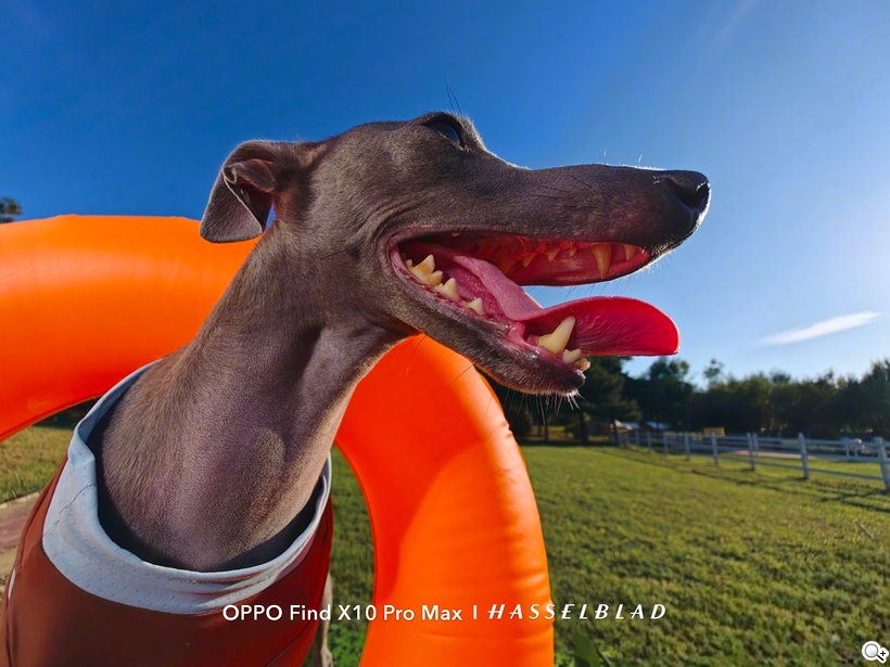 OPPO Find X10 Pro Max 啟用天璣旗艦晶片！還有哪些新品特色？ - Find X10 Pro Max-2
