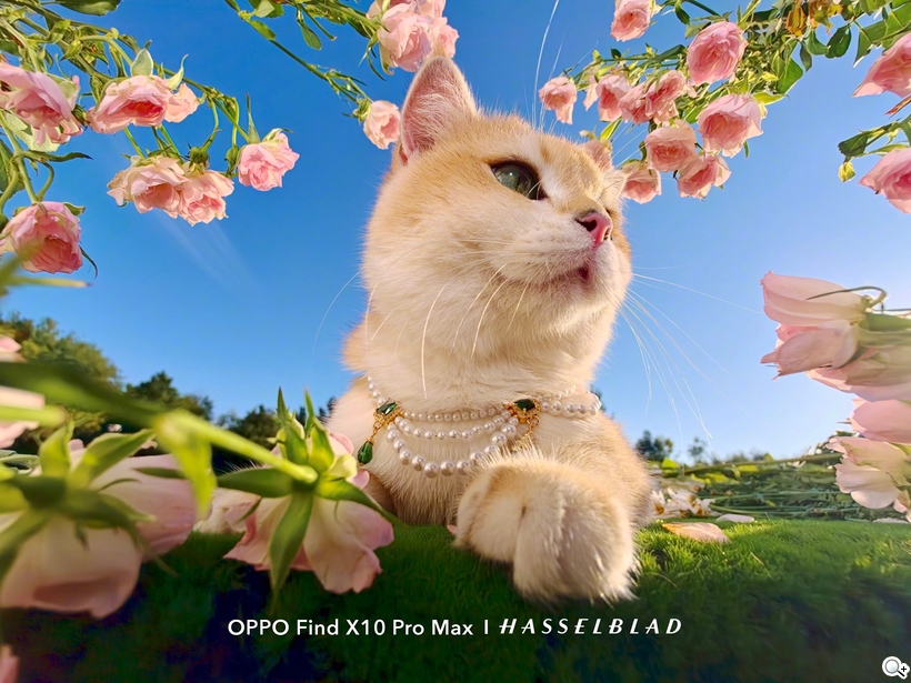 OPPO Find X10 Pro Max 啟用天璣旗艦晶片！還有哪些新品特色？ - Find X10 Pro Max-1