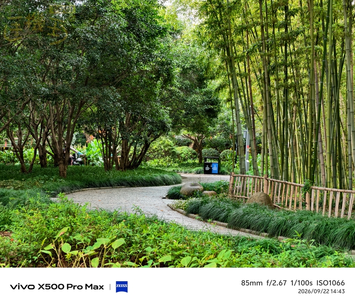 vivo X500 Pro Max 街拍攝影體驗 - 長焦鏡頭-5