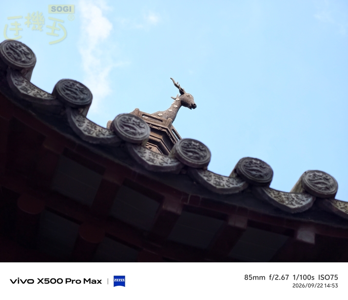 vivo X500 Pro Max 街拍攝影體驗 - 長焦鏡頭-3