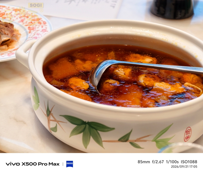 vivo X500 Pro Max 街拍攝影體驗 - 長焦食物-2