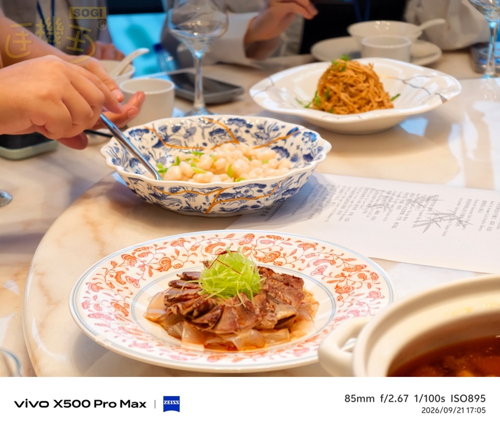 vivo X500 Pro Max 街拍攝影體驗 - 長焦食物-3