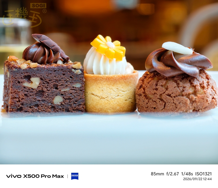 vivo X500 Pro Max 街拍攝影體驗 - 長焦食物-1