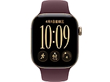 Apple Watch Series 12 鋁金屬 42mm 4G LTE