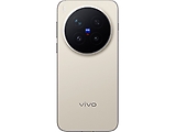vivo X300 Pro