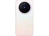 vivo X300